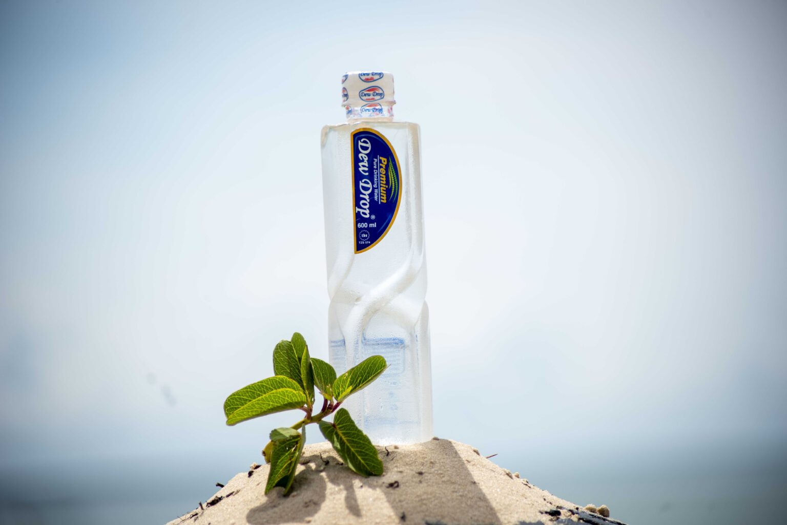 Home Dew Drop Drinks Co Ltd